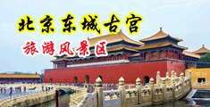 外国人靠逼视频中国北京-东城古宫旅游风景区